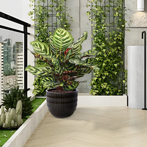 English Elm Set of 4 Fluted Ceramic Flowerpot with Hand-Glazed Finish, High-Temp Fired Durable Planters for Patio W3273P321575