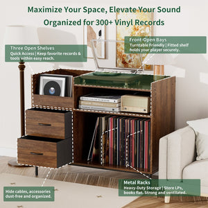 English Elm Record Player Stand with Vinyl Storage Mid-century Wood Console for Living Room T2398P438826