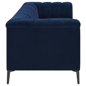 English Elm Darci Blue Velvet Tuxedo Sofa with Channel Tufting and Angled Black Metal Legs — Luxe Accent Seating B062P357812
