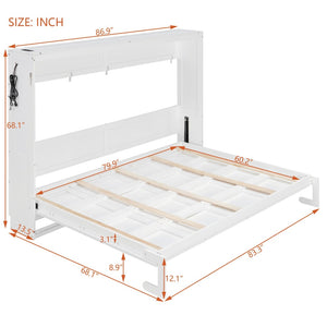 English Elm Queen-size Murphy Wall Bed with Led Ambient Lighting Usb Outlet and Graphic Panel White LP000357AAK