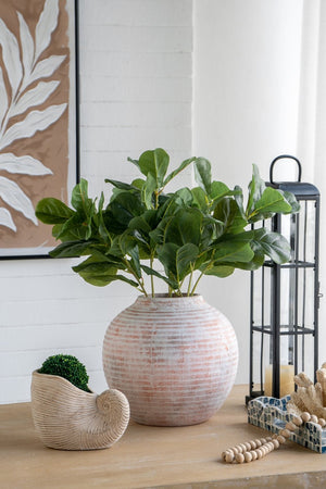 English Elm 8.5x5.5x6.3" Sand and Cement Nautilus Shell Planter, Textured Beige Coastal Decor for Succulents and Herbs W2078P334177