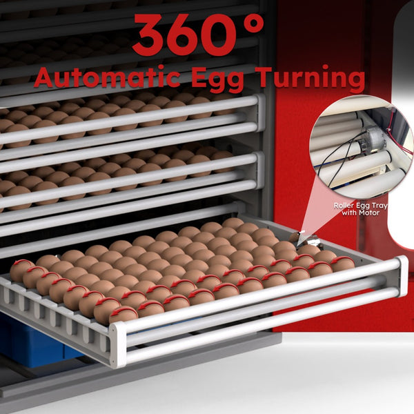 English Elm 400-egg Cabinet Incubator Auto-turning Digital Climate Control for Poultry Hatching W2700P326299
