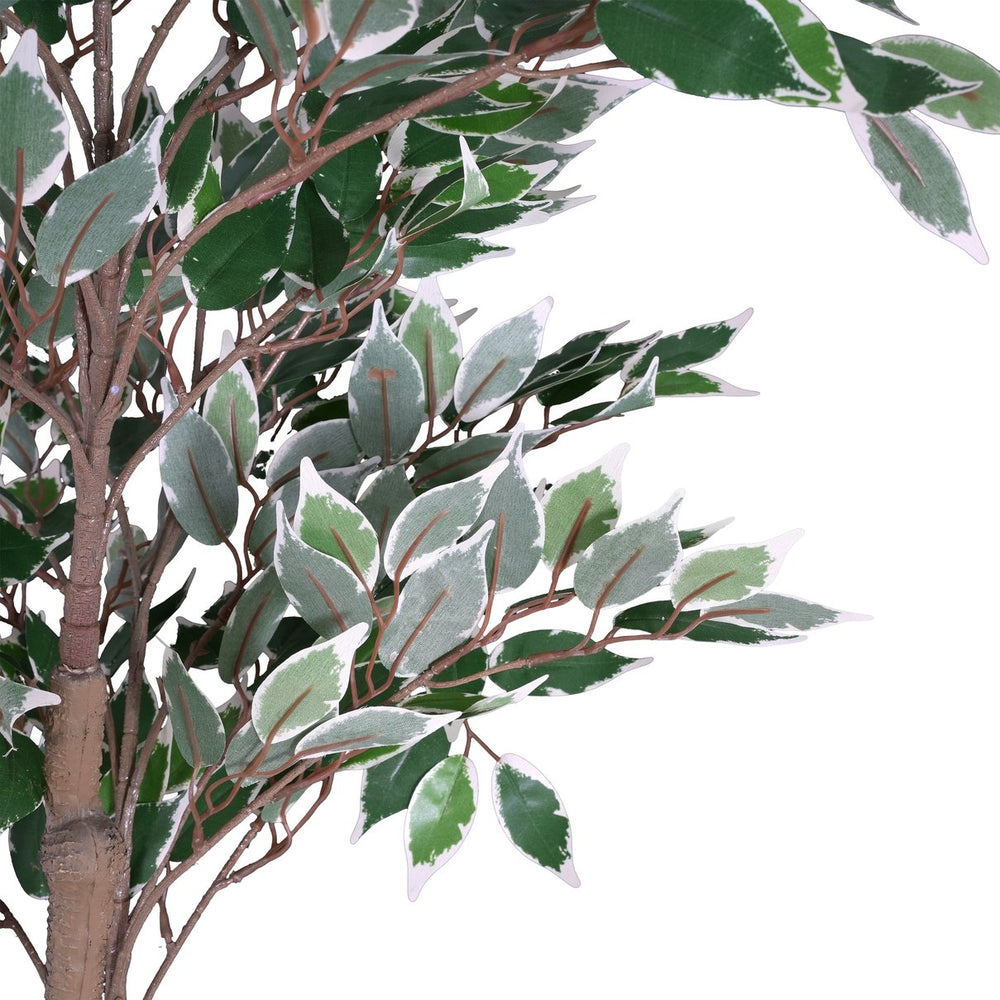 English Elm Christopher Knight Home® - 69" Artificial Ficus Tree with Lifelike Glossy Leaves, Twisted Trunk, Pre-Potted Black Pot, 69" N772P286768G