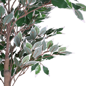 English Elm Christopher Knight Home® - 69" Artificial Ficus Tree with Lifelike Glossy Leaves, Twisted Trunk, Pre-Potted Black Pot, 69" N772P286768G