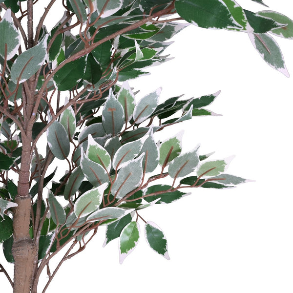 English Elm Christopher Knight Home® - 69" Artificial Ficus Tree with Lifelike Glossy Leaves, Twisted Trunk, Pre-Potted Black Pot, 69" N772P286768G