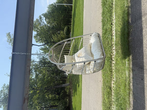 English Elm Outdoor Rattan Egg Swing Chair – Stylish Off-White Hanging Chair With Cushions & Durable Frame W2500P364236-GIGA