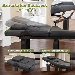 English Elm Spa Salon Massage Table Steel Frame Pu Leather Adjustable Backrest Bottom Shelf Storage W1422P382933