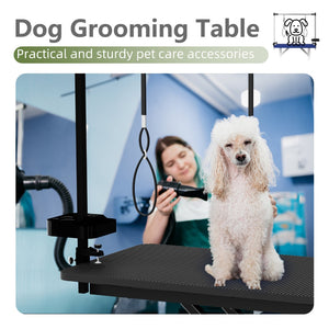 English Elm 47'' Foldable Dog Grooming Table X-lift Adjustable Height Station with Arm Noose Organizer W3587P358750