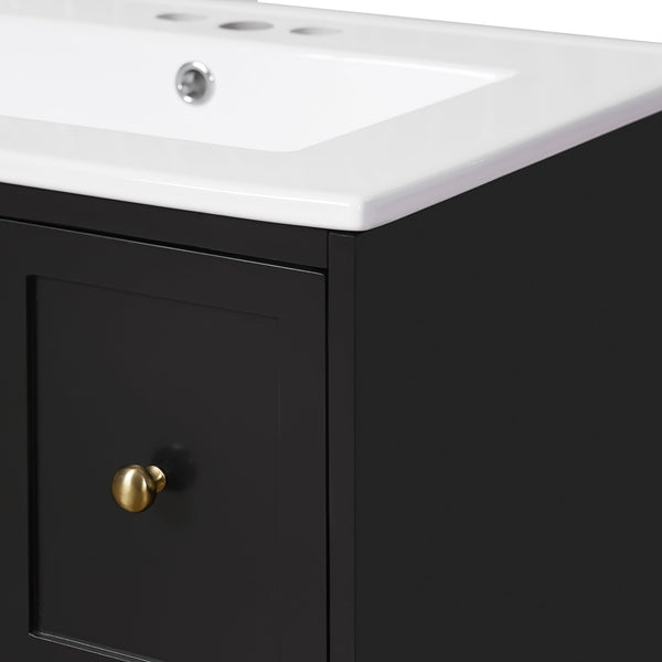 English Elm 24" Modern Wall-Mount Bathroom Vanity with Ceramic Sink, Glass Door Cabinet, 2 Drawers, Soft-Close Black N710P286704B