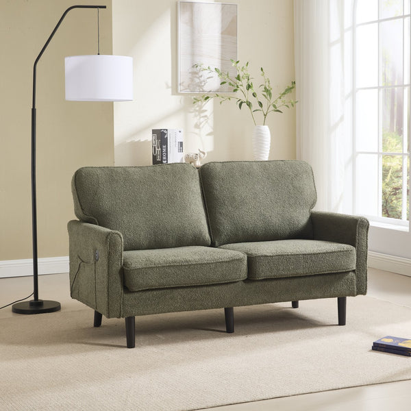 English Elm Loveseat Mid Century Modern Two-Seater Sofa with USB Type-C Charging, Removable Zipper Covers, Durable Wood Legs Green W395P238825
