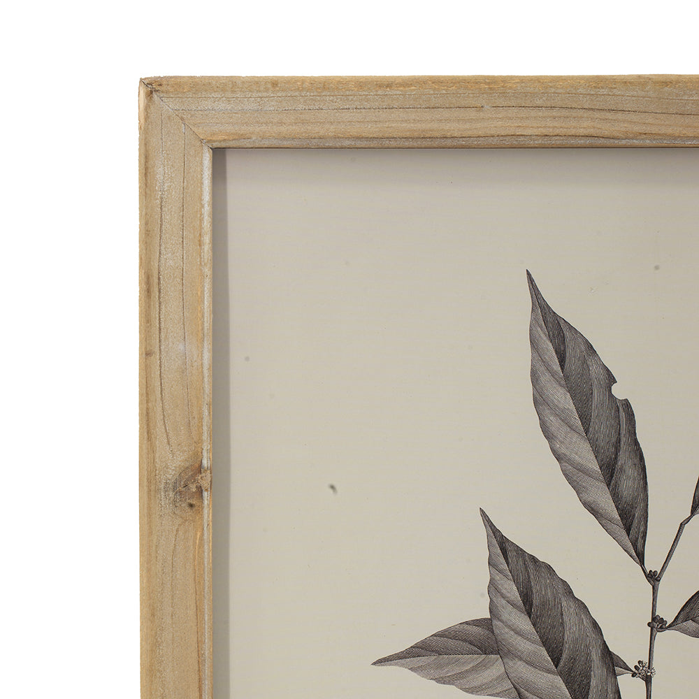 English Elm 15.7x20.7" Vintage Botanical Wall Art Set of 4 – Antique Leaf Prints in Monochrome for Living Room Decor W2078P390180