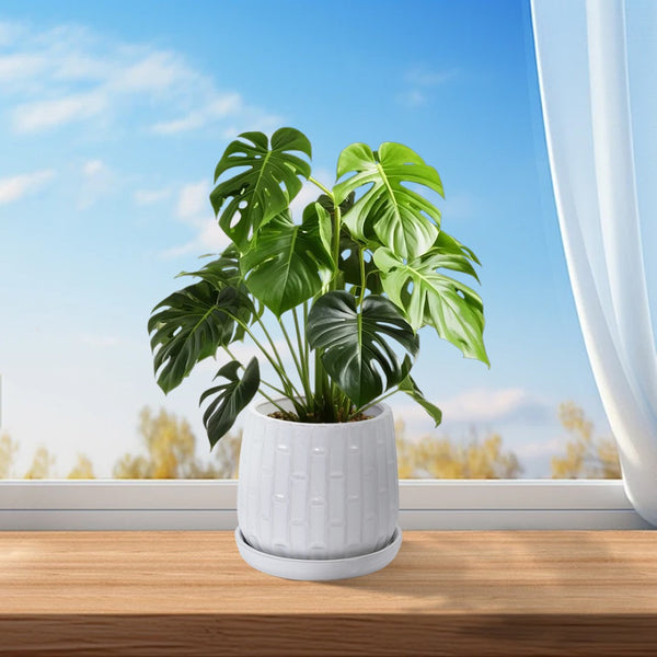 English Elm Set Of 2 Elegant White Ceramic Planters - Modern 7" Flowerpots For Indoor & Outdoor Decor W3273P322304-GIGA