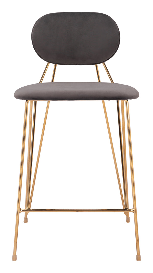 Georges Counter Stool - Set of 2 Gray & Gold 109662 Zuo Modern