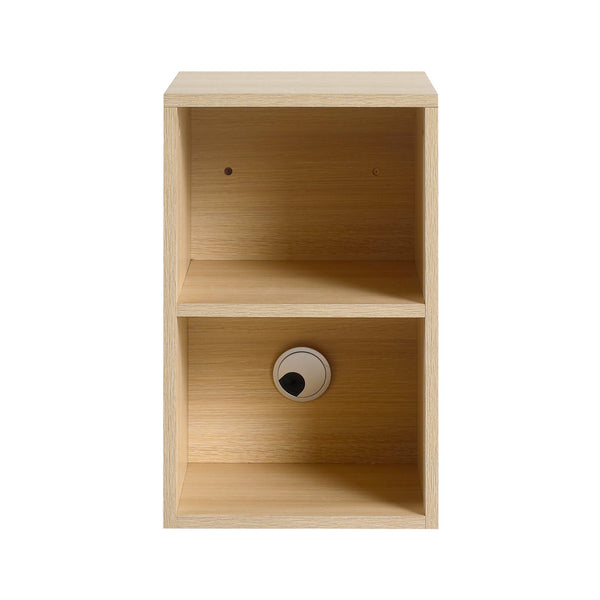 English Elm 48'' Wall-Mounted Bathroom Vanity With Elegant Ceramic Sink, Soft-Close Door & Open Storage Shelves W999S00469