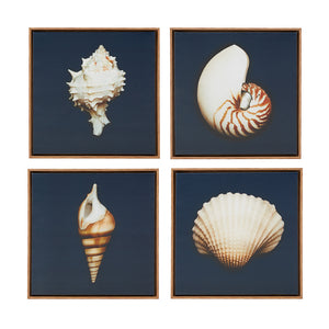 JLA Home Madison Park - 4-piece Framed Canvas Wall Art Set — Julie Greenwood Seashells on Navy with Wood-Tone Frames, Coastal Elegance MP95C-0062