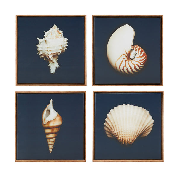 JLA Home Madison Park - 4-piece Framed Canvas Wall Art Set — Julie Greenwood Seashells on Navy with Wood-Tone Frames, Coastal Elegance MP95C-0062