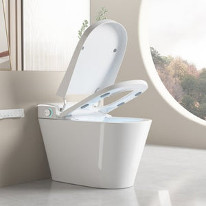 English Elm Unique Smart Bidet Toilet with Auto Open Seat Warm Dryer and Hands Free Flush W3133P414562