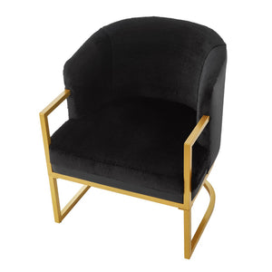 English Elm Modern Faux Fur Accent Chair Plush Upholstered Seat with Gold Iron Legs for Any Room Black N763P360688B