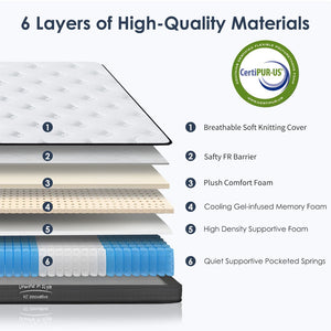 English Elm Queen 10 Inch Hybrid Mattress Pocketed Coils Memory Foam Medium Firm Cool Sleep W2889P453493