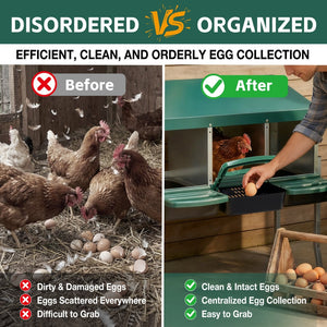 English Elm Nesting Box Galvanized Steel 3 Compartment Chicken Laying Station with Roll Out Tray W1422P292940