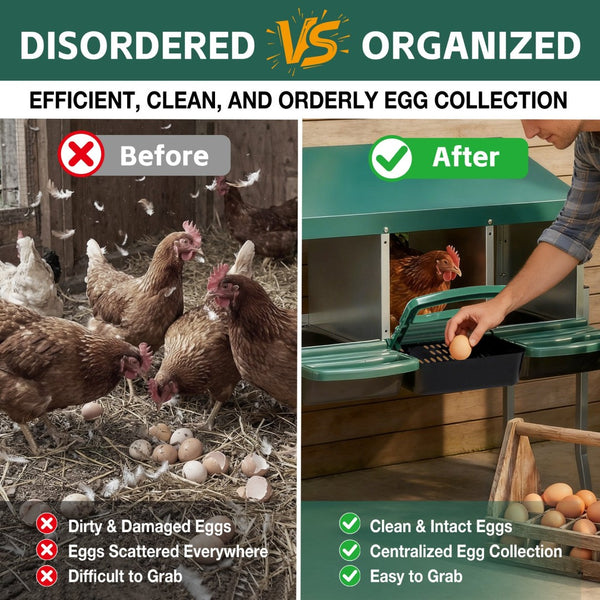 English Elm Nesting Box Galvanized Steel 3 Compartment Chicken Laying Station with Roll Out Tray W1422P292940