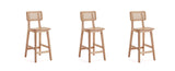 Manhattan Comfort Versailles Industry Chic Counter Stool - Set of 3 Nature 3-CSCA01-NA