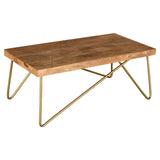 !nspire Madox Coffee Table Natural Natural/Aged Gold Solid Wood/Iron