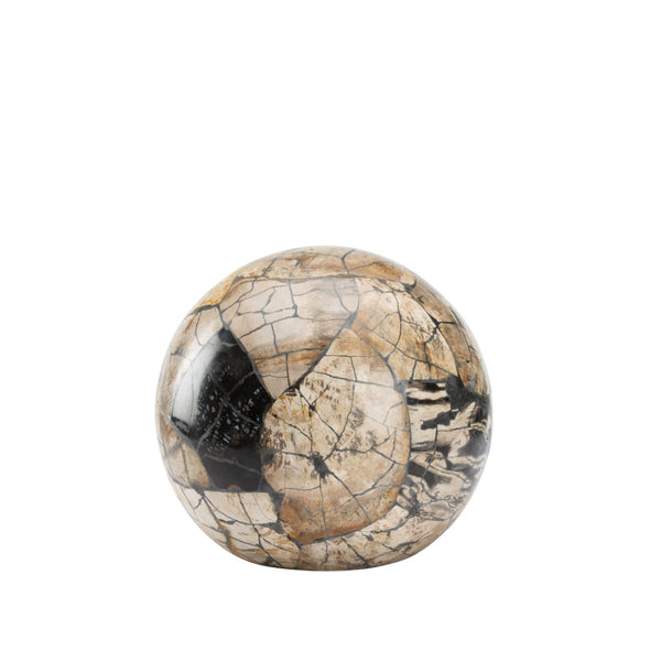 Wildwood Gaia Petrified Wood Sphere Centerpiece — Handcrafted Polished Stone Object For Shelves, Mantels, Tables 8h x 8.5w x 8.5d 302523