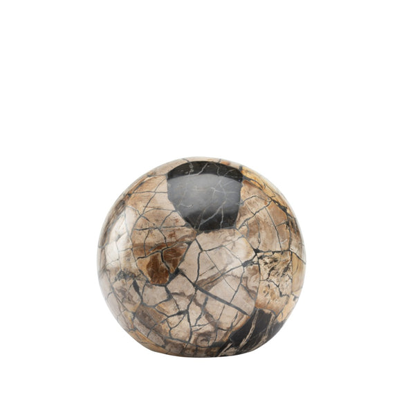 Wildwood Gaia Petrified Wood Sphere Centerpiece — Handcrafted Polished Stone Object For Shelves, Mantels, Tables 8h x 8.5w x 8.5d 302523