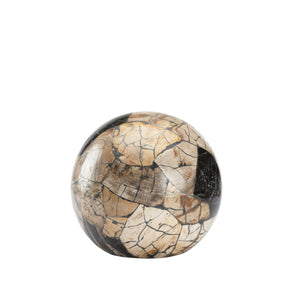 Wildwood Gaia Petrified Wood Sphere Centerpiece — Handcrafted Polished Stone Object For Shelves, Mantels, Tables 8h x 8.5w x 8.5d 302523