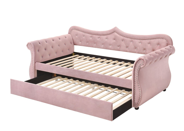 English Elm Adkins Pink Velvet Upholstered Daybed with Trundle Twin, Button-Tufted, Nailhead Trim, 330lb Capacity B2726S00407