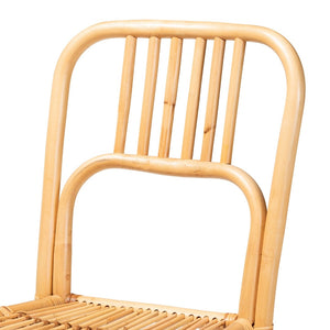 English Elm Modern Rattan Dining Chair Set of Two with Woven Back and Black Iron Base B2750P420426
