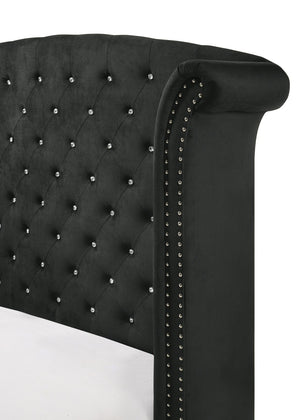 English Elm 1pc Glam Upholstered Queen Bed with Velvet Wingback Headboard, Diamond Tufting & Nailhead Trim Black 96.06 L x 43.9 W x 2.76 H B011S01662