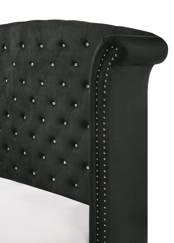 English Elm 1pc Glam Upholstered Queen Bed with Velvet Wingback Headboard, Diamond Tufting & Nailhead Trim Black 96.06 L x 43.9 W x 2.76 H B011S01662