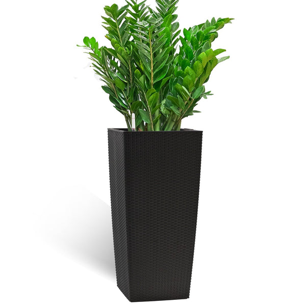 English Elm 30 Inch Tall Faux Rattan Planter Self Watering Outdoor Indoor Patio Garden Pot Black W3213P325511
