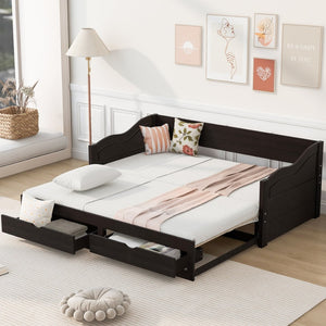 English Elm Wooden Twin Daybed with Pull Out Trundle and Dual Storage Drawers for Guest Rooms Espresso LP000519AAP-1