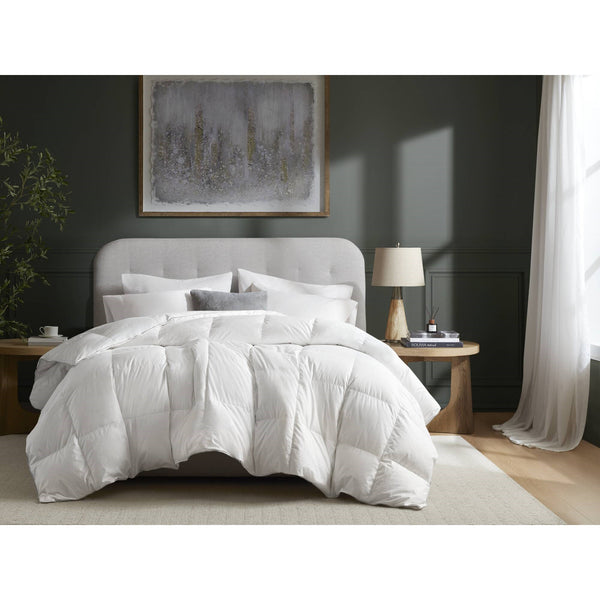 English Elm 1 Plush Full/Queen 100% Cotton Comforter 90x94 Soft Hypoallergenic Breathable Bedding Set B035P366555