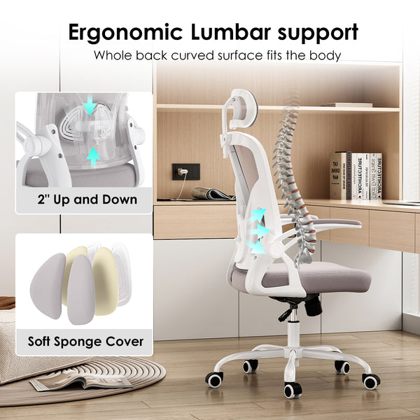 English Elm Ergonomic Office Chair With Adjustable Headrest & Lumbar Support, High-Back Mesh Design For Comfort T3623P380921
