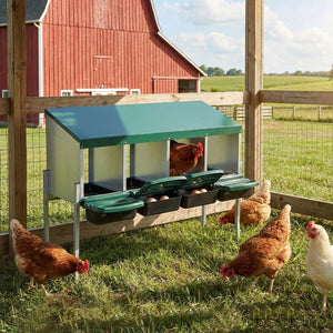 English Elm 4-hole Galvanized Steel Chicken Nesting Box with Roll Away Egg Tray and Rain Cover W1422P292941