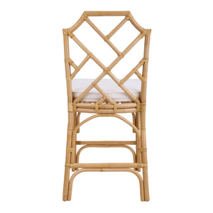 Kara Rattan Counter Stool - Set of 2 Natural, Natural Legs 3100017-N New Pacific Direct