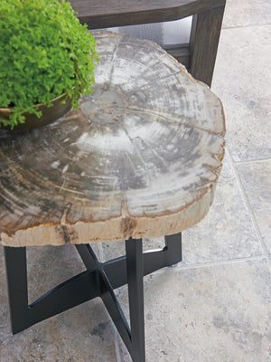 Lexington Tommy Bahama Outdoor Petrified Wood Accent Table - Unique Outdoor Decor With Authentic Wood Top And Durable Iron Base Dark Brown Wood 3100-203c