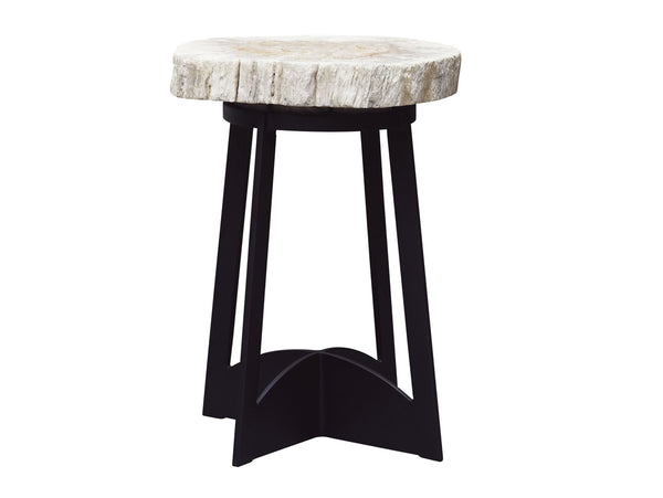 Lexington Tommy Bahama Outdoor Petrified Wood Accent Table - Unique Outdoor Decor With Authentic Wood Top And Durable Iron Base Dark Brown Wood 3100-203c