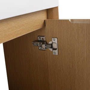 English Elm 18.5" Wall-Mounted Bathroom Vanity With Resin Sink & Soft-Close Door For Smart Space-Saving Design W1972P362127