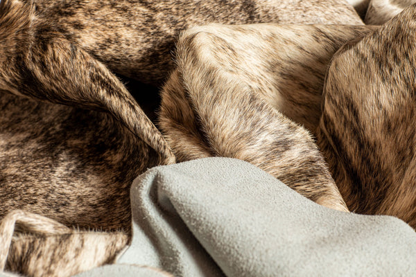 Homeroots 72" X 84" Zebu Cowhide - Rug Zebu Cowhide 316714