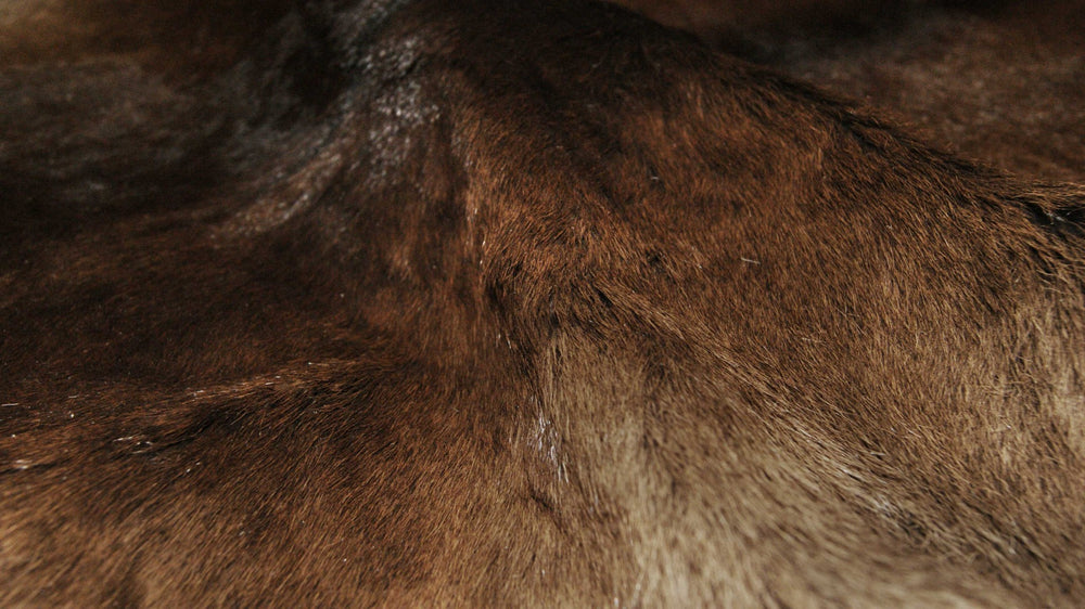 Homeroots 24" X 36" Brown Calfskin - Area Rug Brown Cowhide 316837