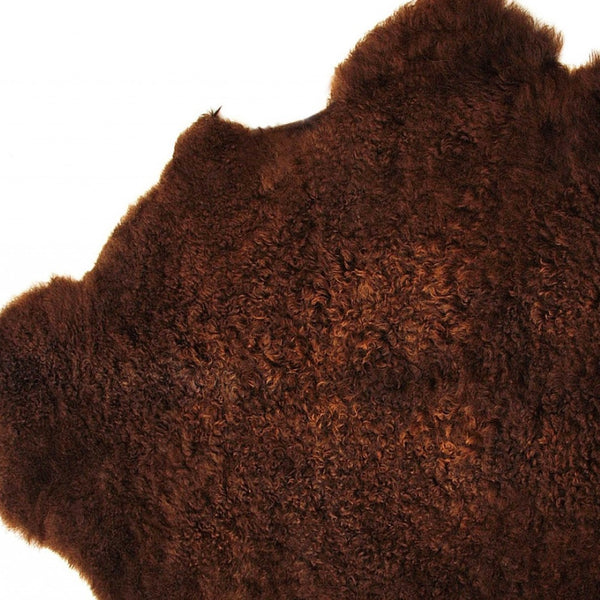HomeRoots 24" X 36" Calfskin Area Rug – Luxurious Hand-Knotted Brazilian Design for Elegant Interiors Chocolate 316963