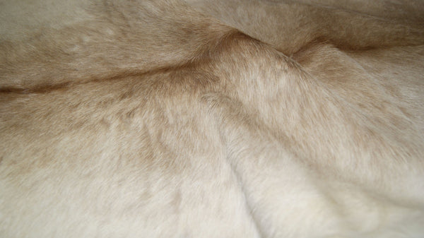 Homeroots 2' X 3' Natural Cowhide Hand Woven Area Rug Natural Cowhide 316966