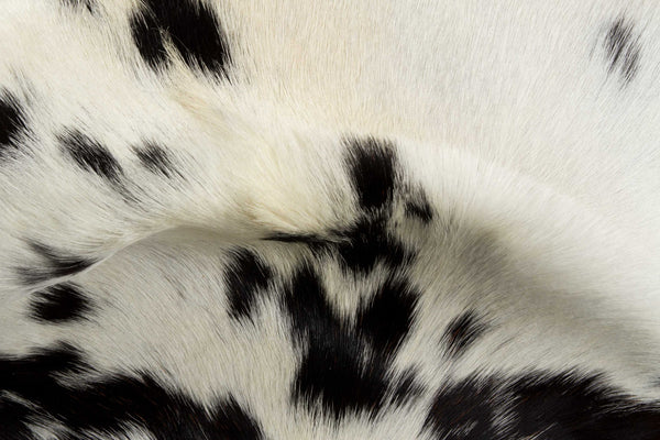 Homeroots 2' X 3' White And Black Calfskin - Area Rug White,Black Cowhide 316981