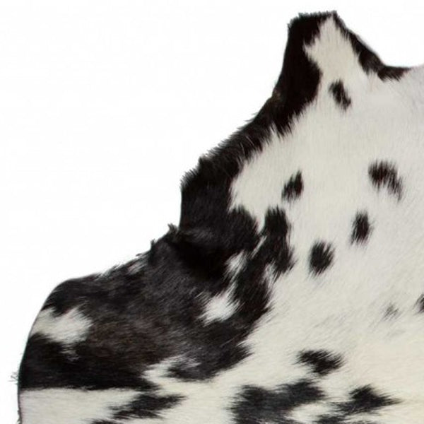 Homeroots 2' X 3' White And Black Calfskin - Area Rug White,Black Cowhide 316981