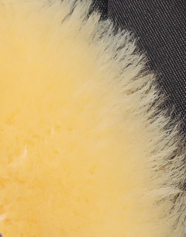 HomeRoots 2' X 3' Cream Genuine Sheepskin Shag Rug - Luxurious Animal Print Accent for Comfort & Style 317006